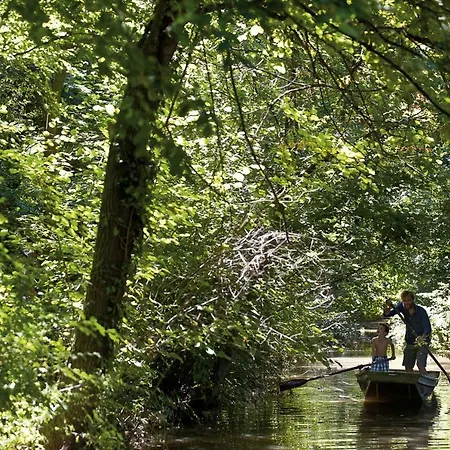 Villa Ca' Marcello Levada