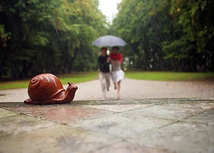 别墅 Ca' Marcello *